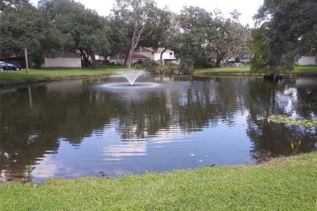 Cozy 3 Bed 2.5 Bath Located Near Busch Gardens Apartment Tampa Exterior photo